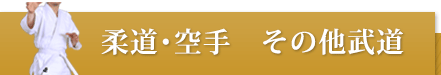 柔道・空手その他武道おすすめ商品
